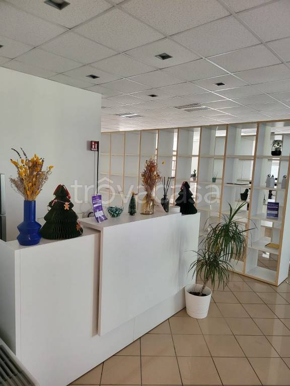 immagine annuncio 6 di 14