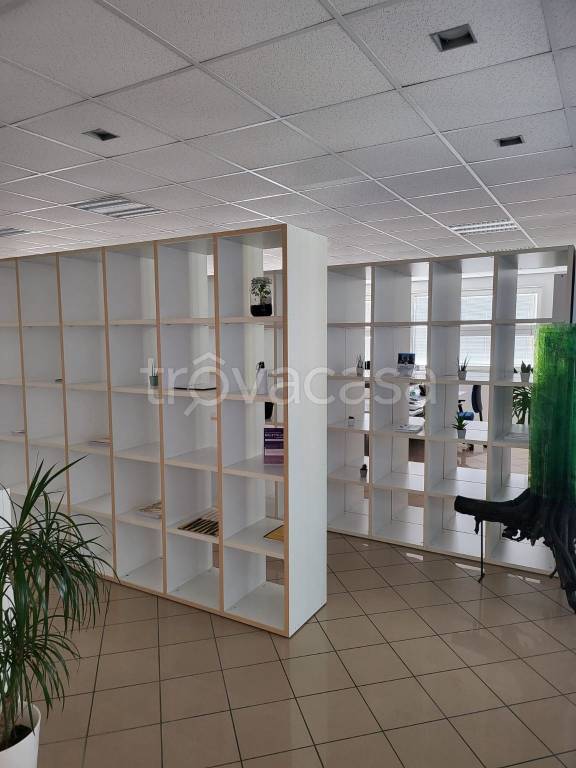 immagine annuncio 5 di 14