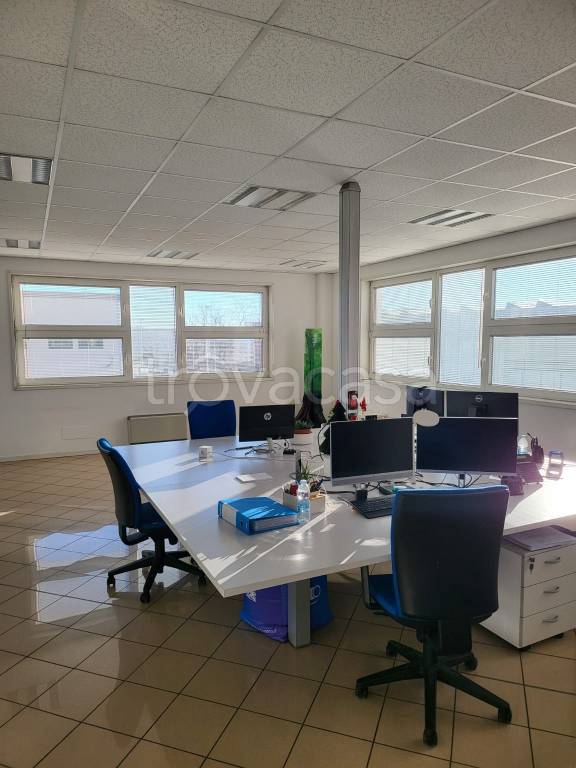 immagine annuncio 7 di 14