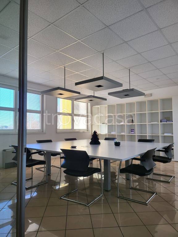 immagine annuncio 9 di 14