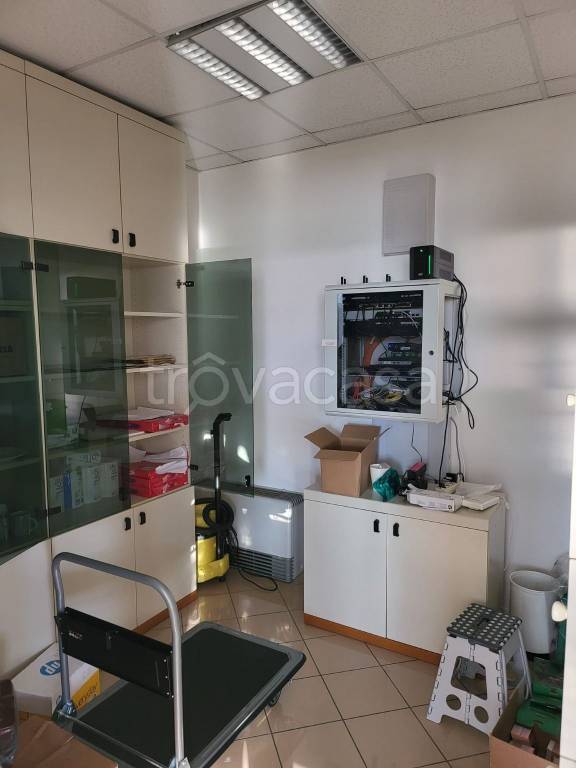 immagine annuncio 12 di 14