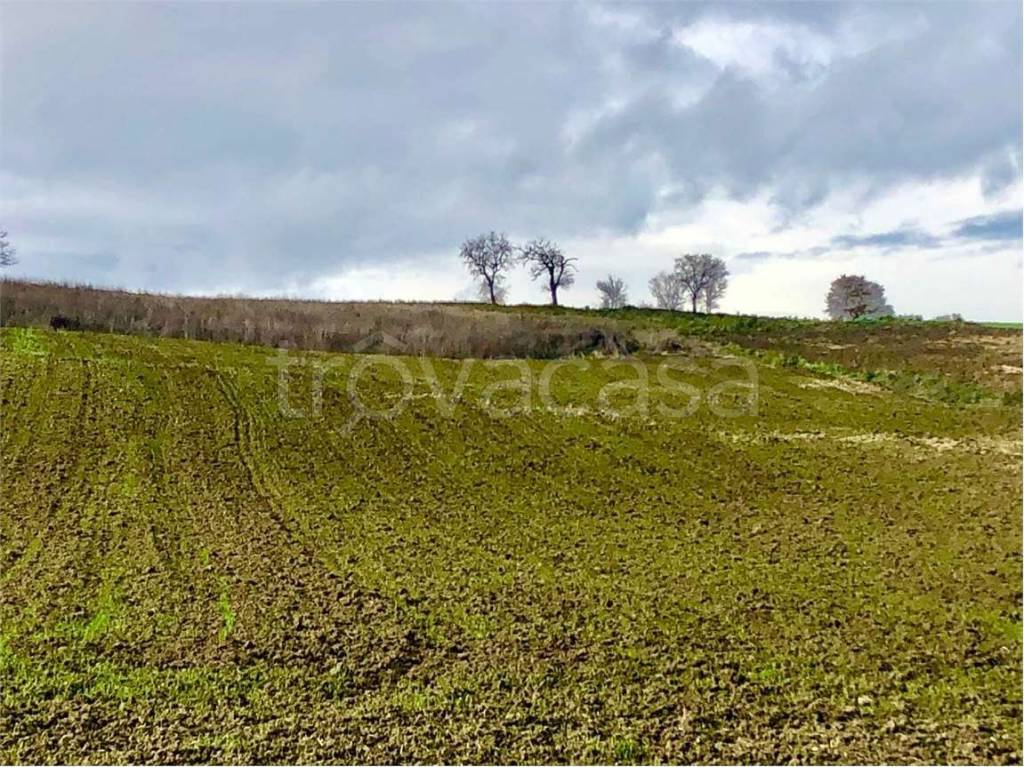 immagine annuncio 4 di 9