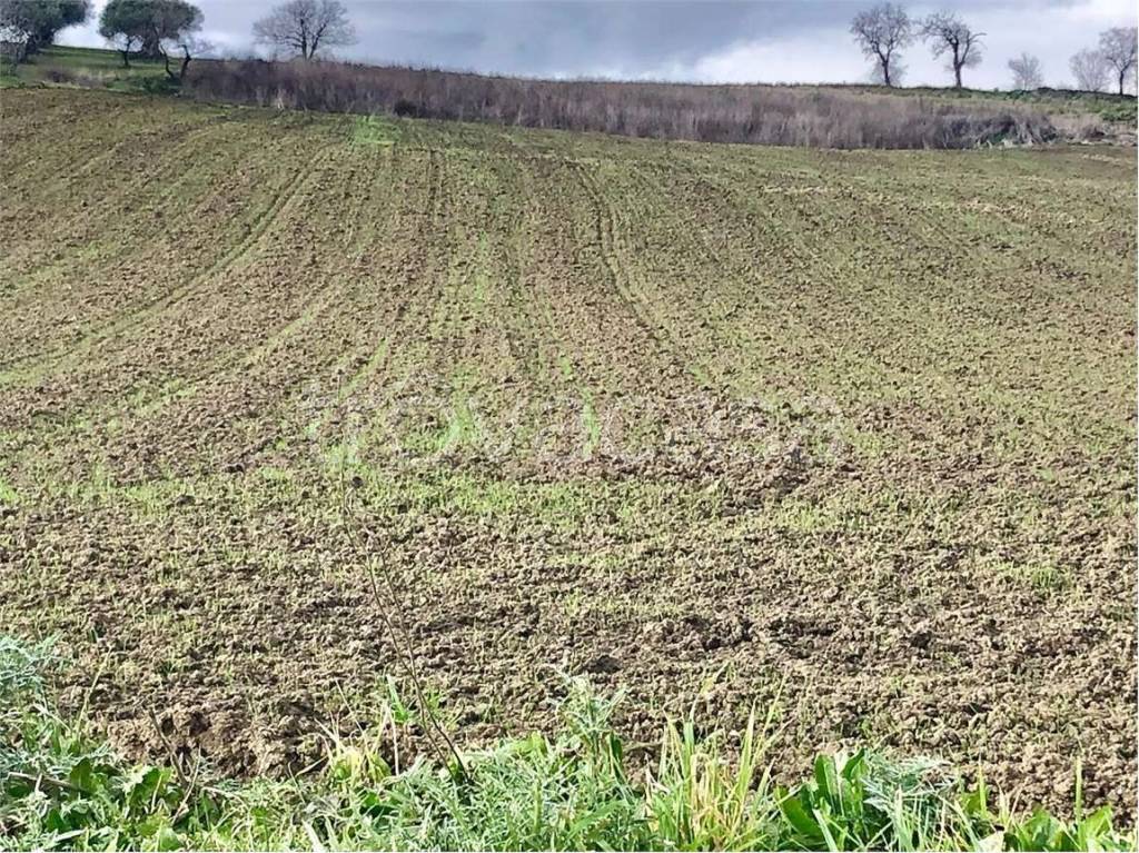 immagine annuncio 5 di 9