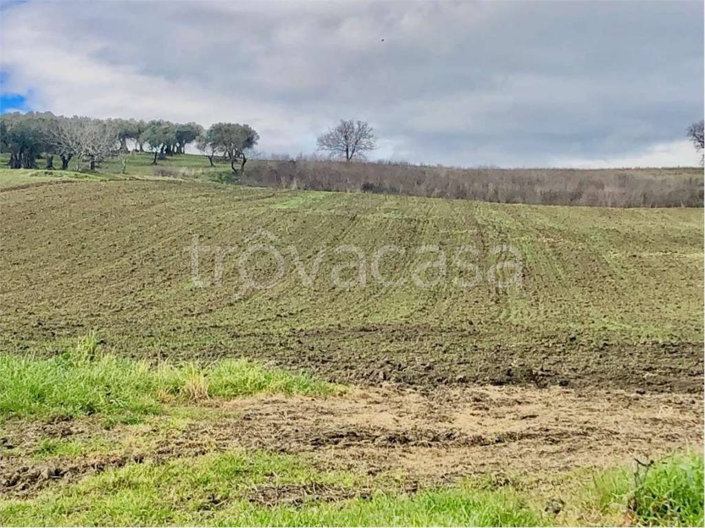 immagine annuncio 6 di 9