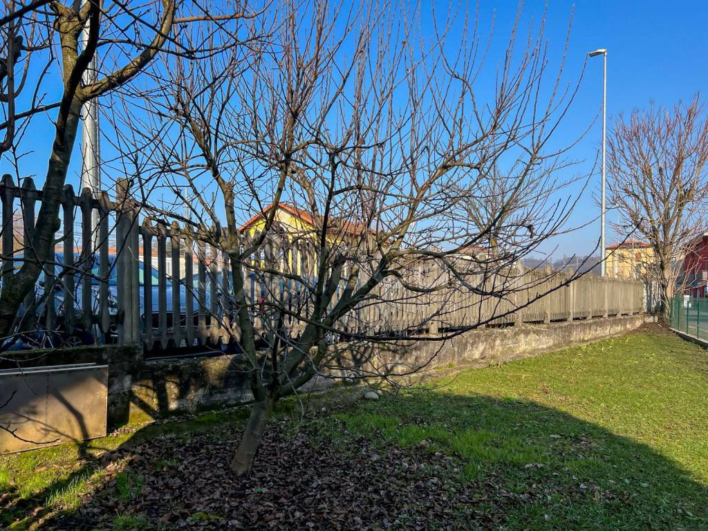 immagine annuncio 13 di 15