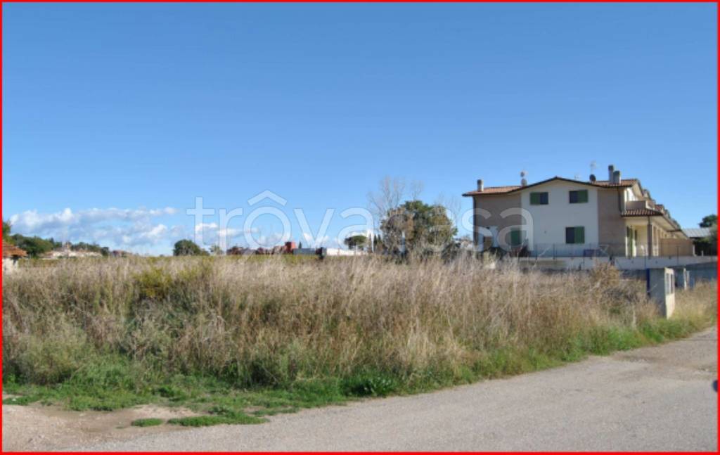 immagine annuncio 2 di 12