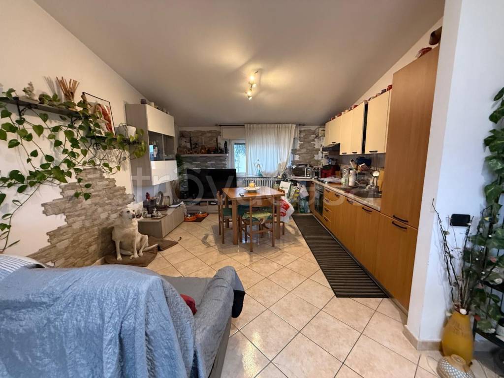 immagine annuncio 6 di 15