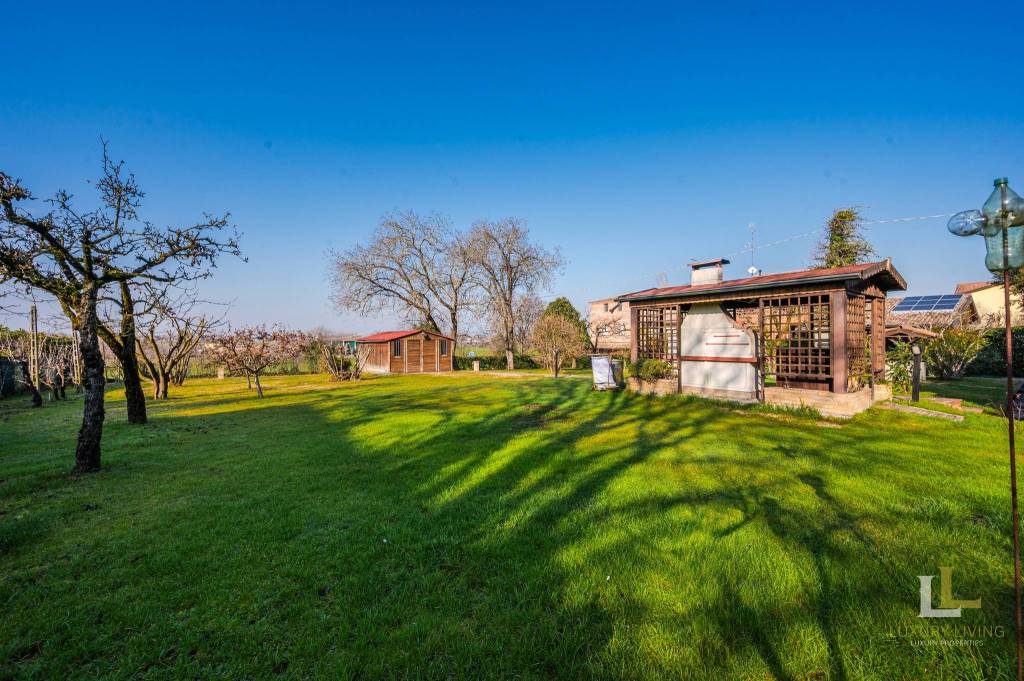 immagine annuncio 3 di 15