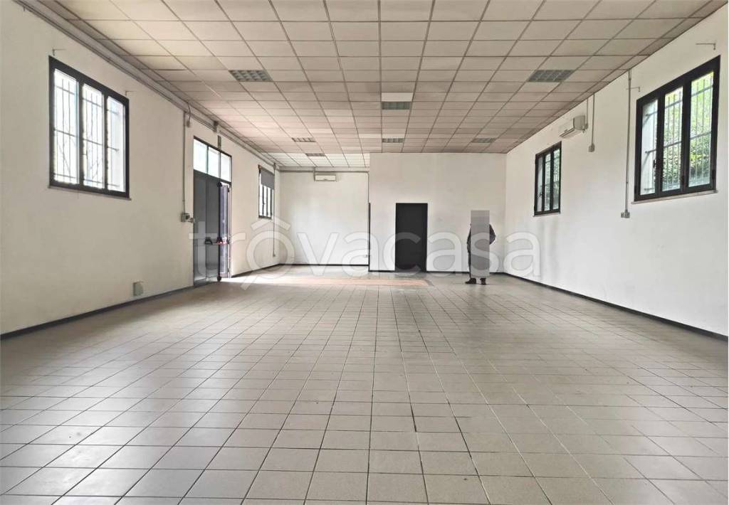 immagine annuncio 2 di 9