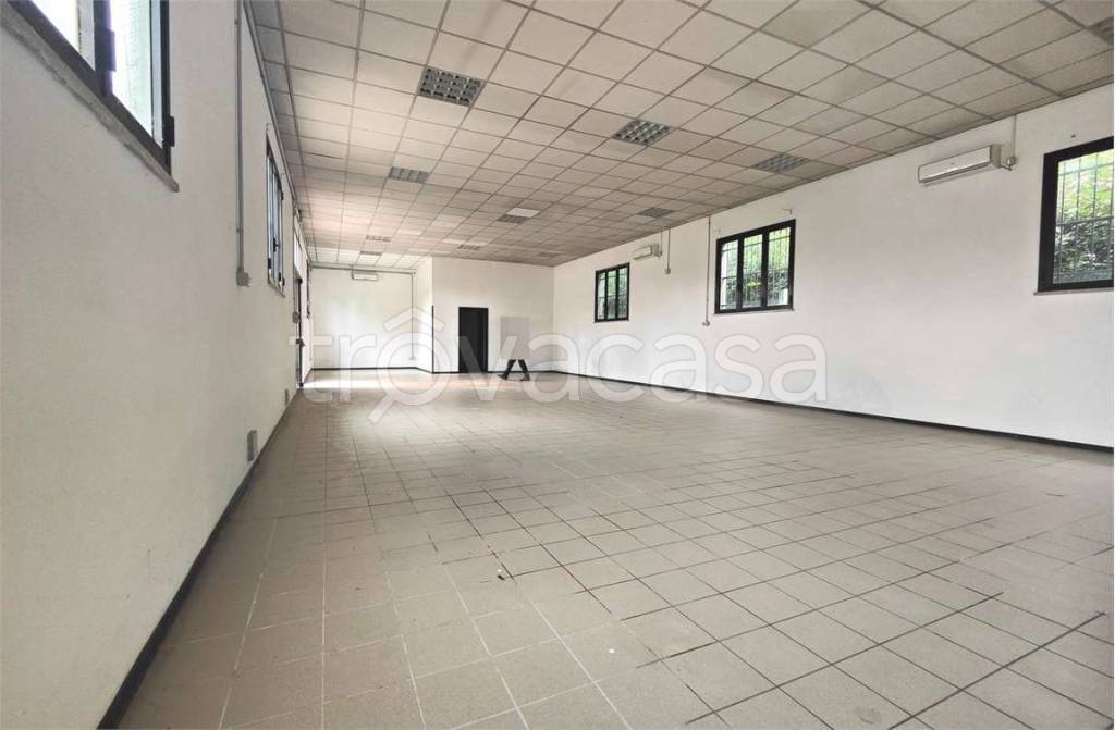 immagine annuncio 4 di 9