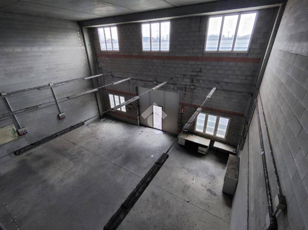 immagine annuncio 6 di 11