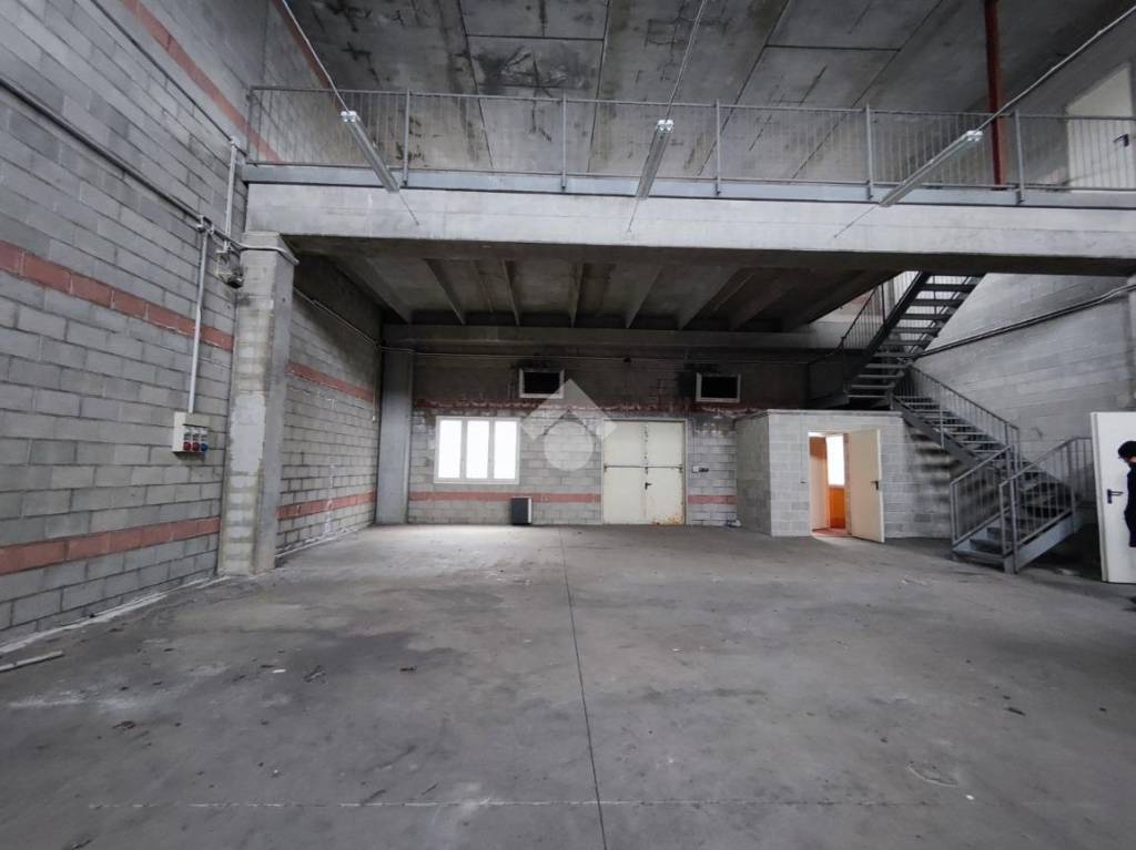 immagine annuncio 7 di 11