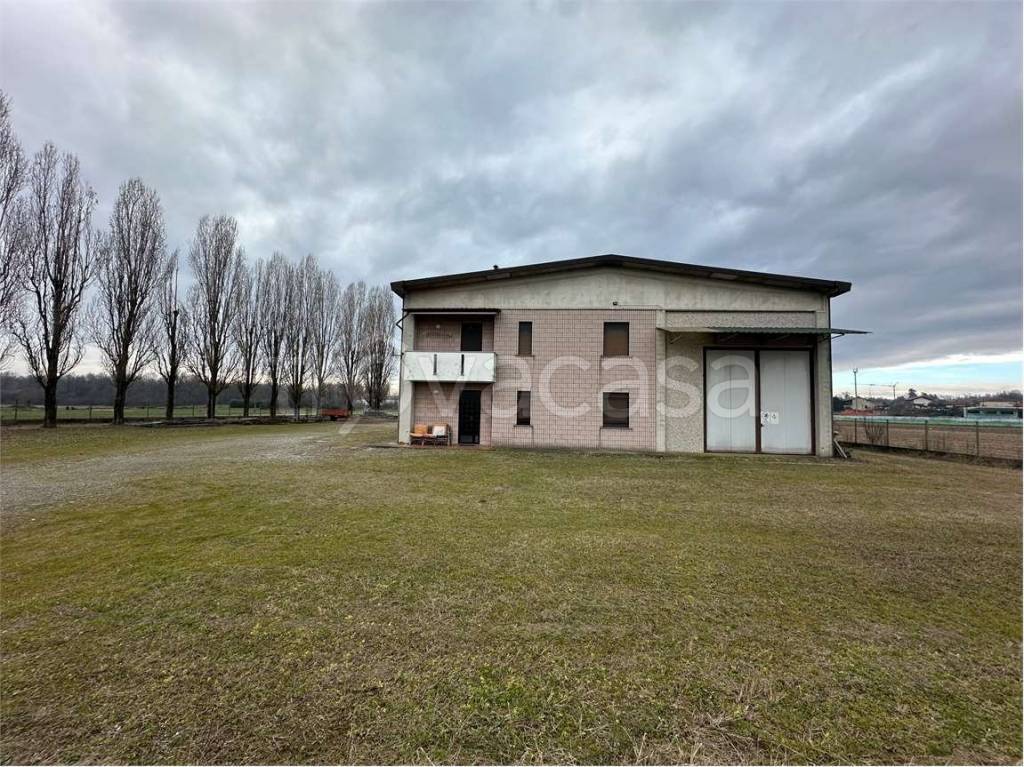 immagine annuncio 10 di 15