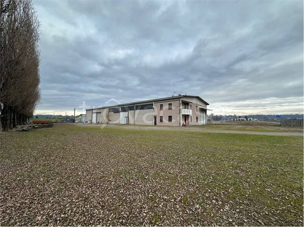 immagine annuncio 11 di 15