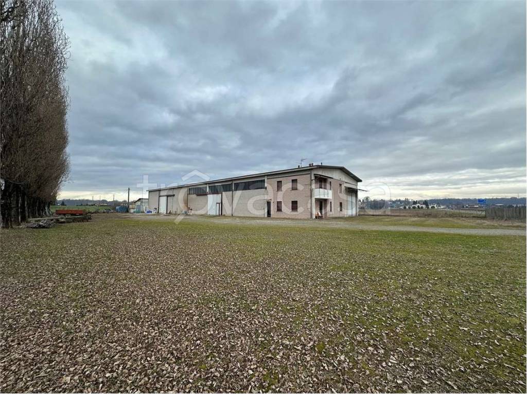 immagine annuncio 12 di 15