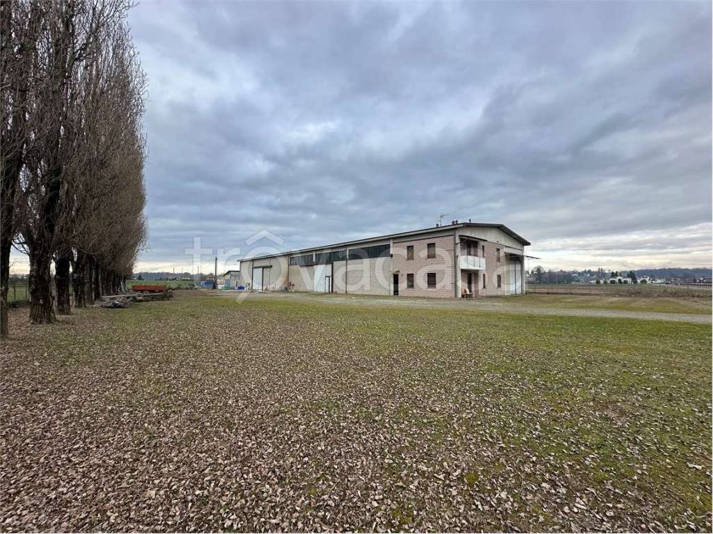 immagine annuncio 13 di 15