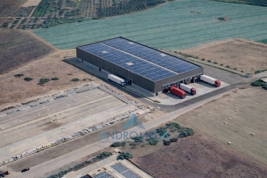 immagine annuncio 2 di 8