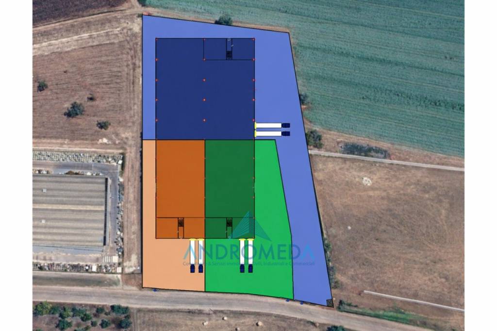 immagine annuncio 7 di 8