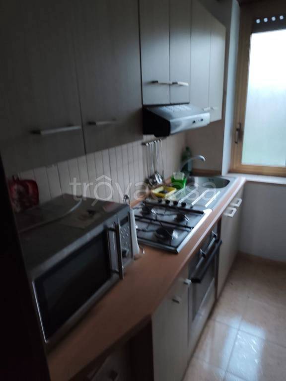 immagine annuncio 7 di 13