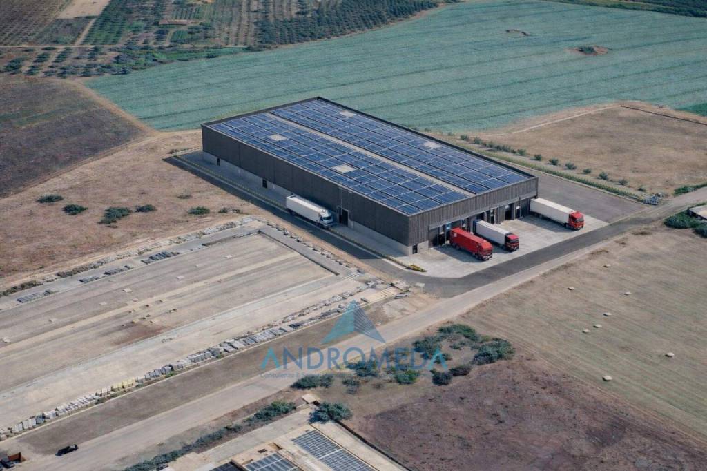 immagine annuncio 2 di 7