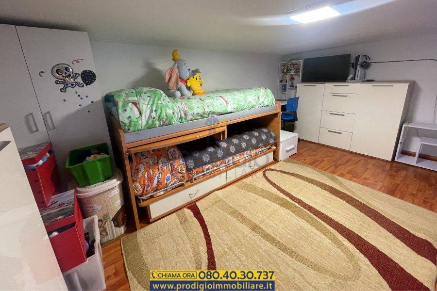 immagine annuncio 3 di 12