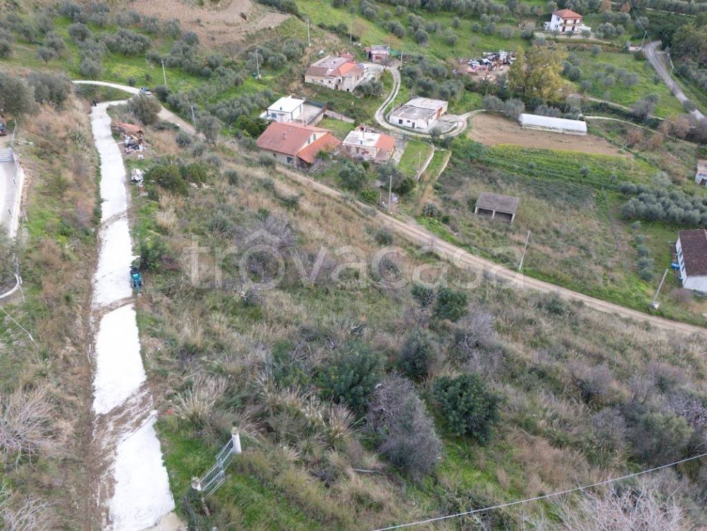 immagine annuncio 3 di 7