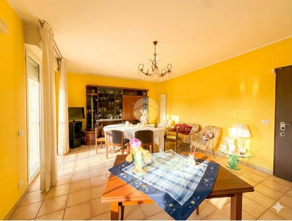 immagine annuncio 1 di 14