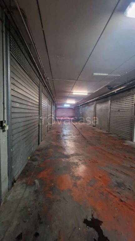 immagine annuncio 6 di 14