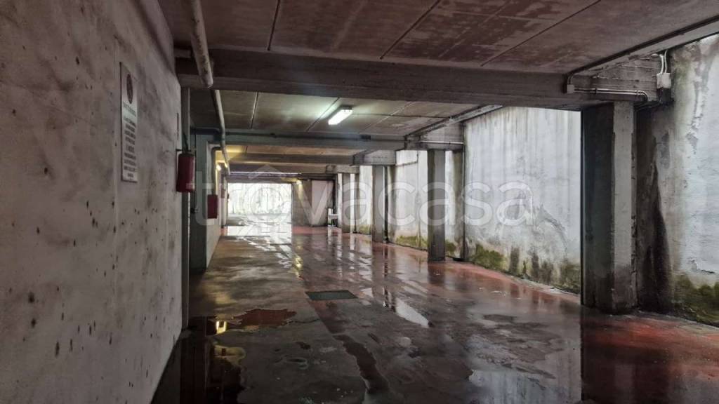 immagine annuncio 9 di 14