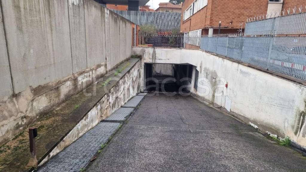 immagine annuncio 11 di 14