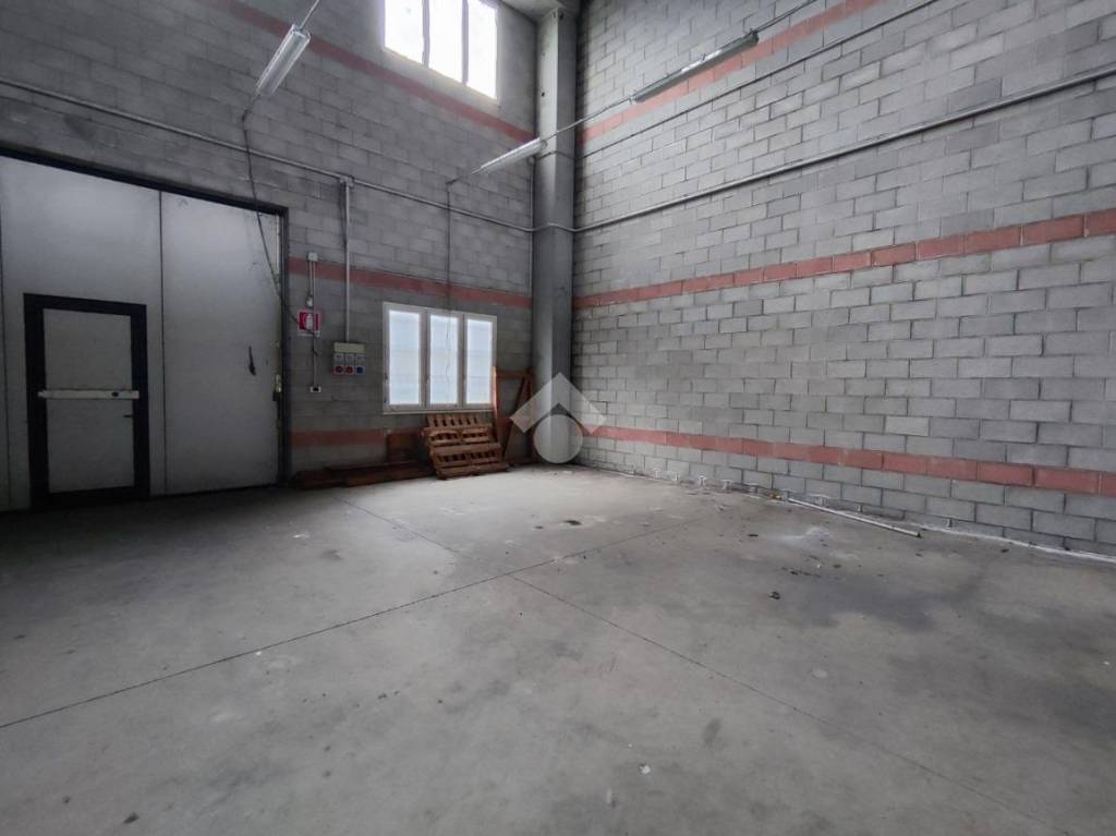 immagine annuncio 2 di 11