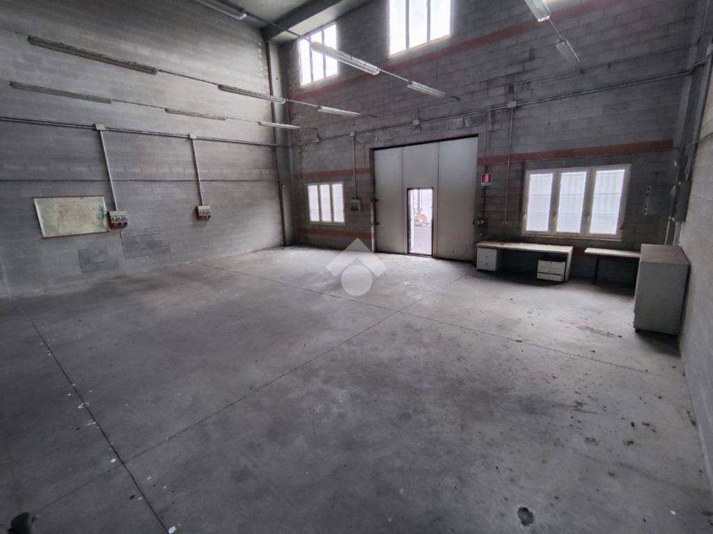 immagine annuncio 3 di 11