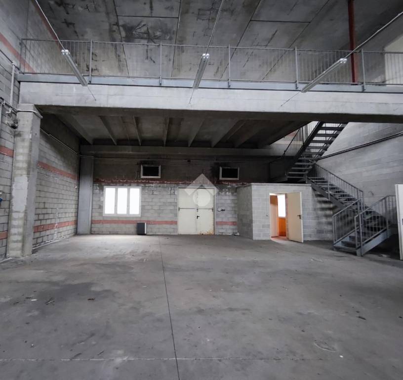 immagine annuncio 6 di 11