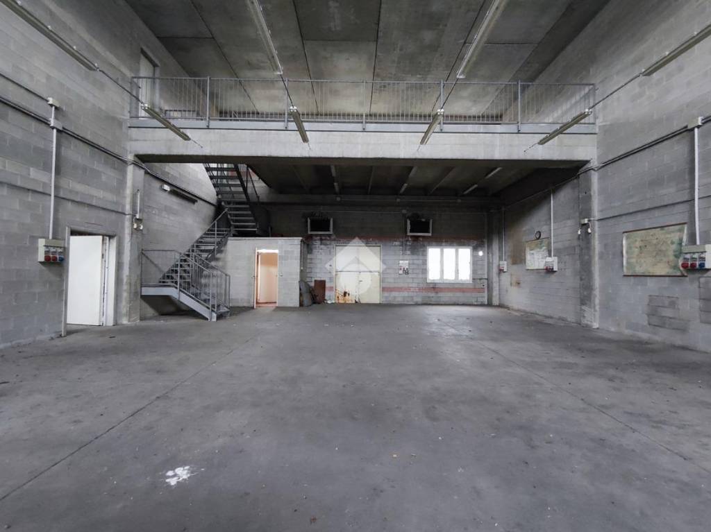 immagine annuncio 9 di 11