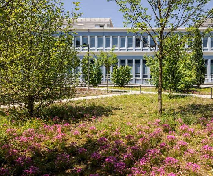 immagine annuncio 1 di 7