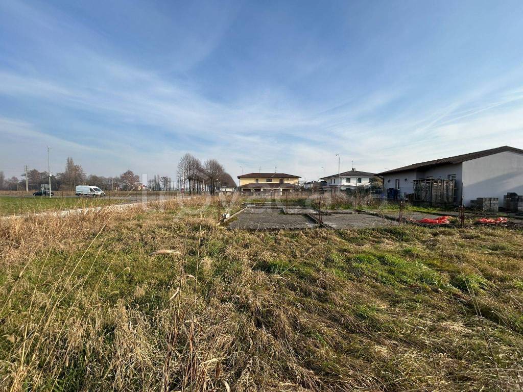 immagine annuncio 2 di 7