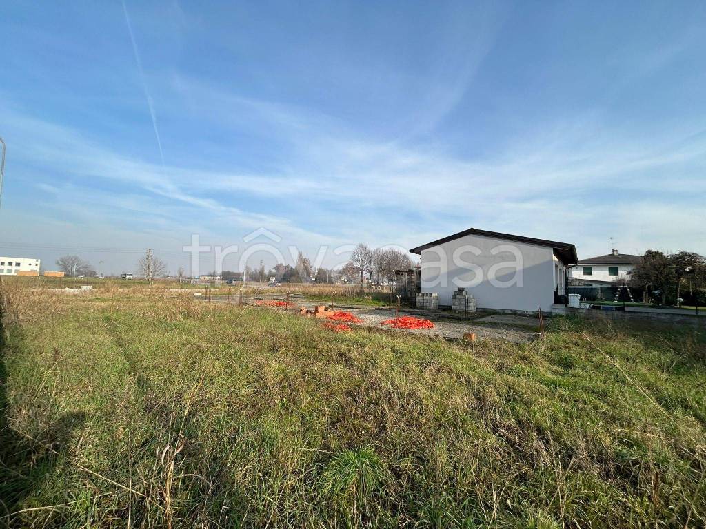 immagine annuncio 4 di 7