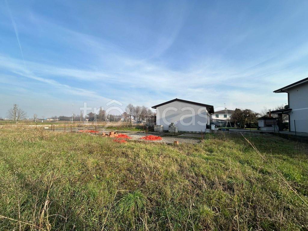 immagine annuncio 5 di 7