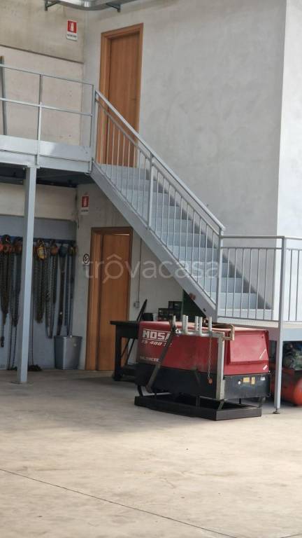 immagine annuncio 4 di 8