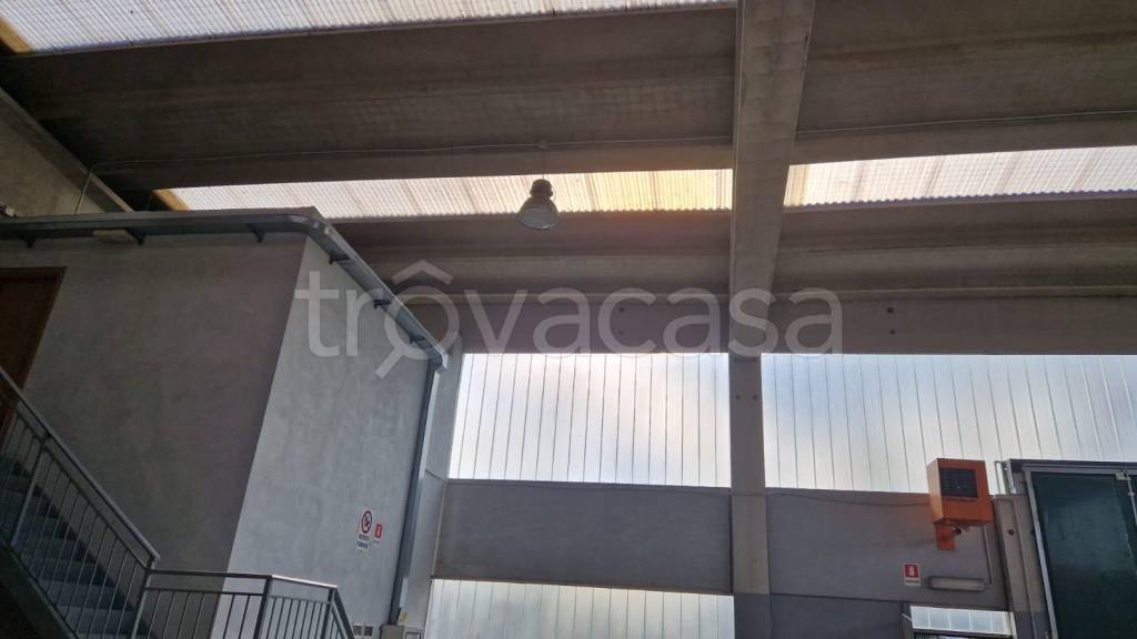 immagine annuncio 6 di 8