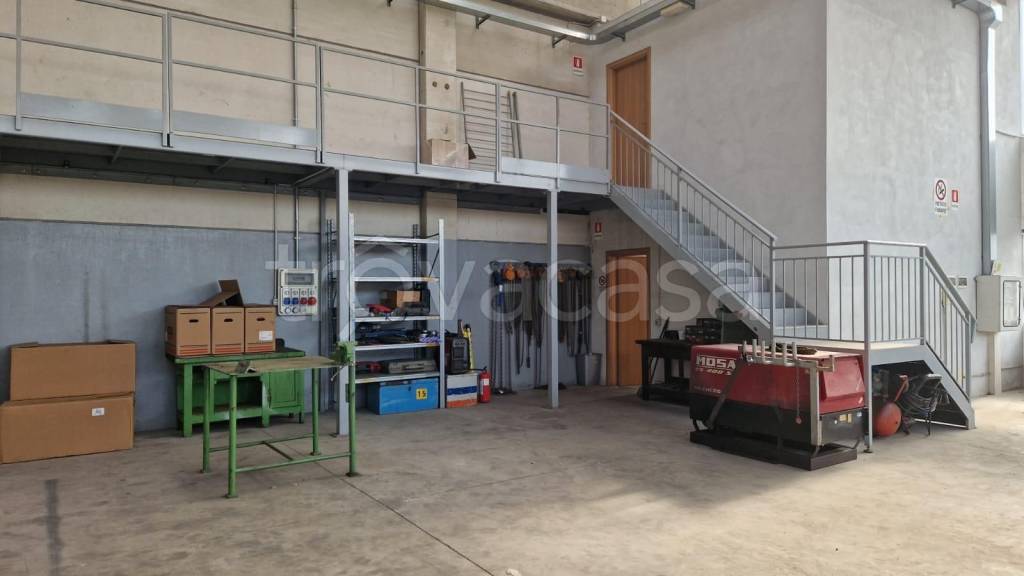 immagine annuncio 3 di 8