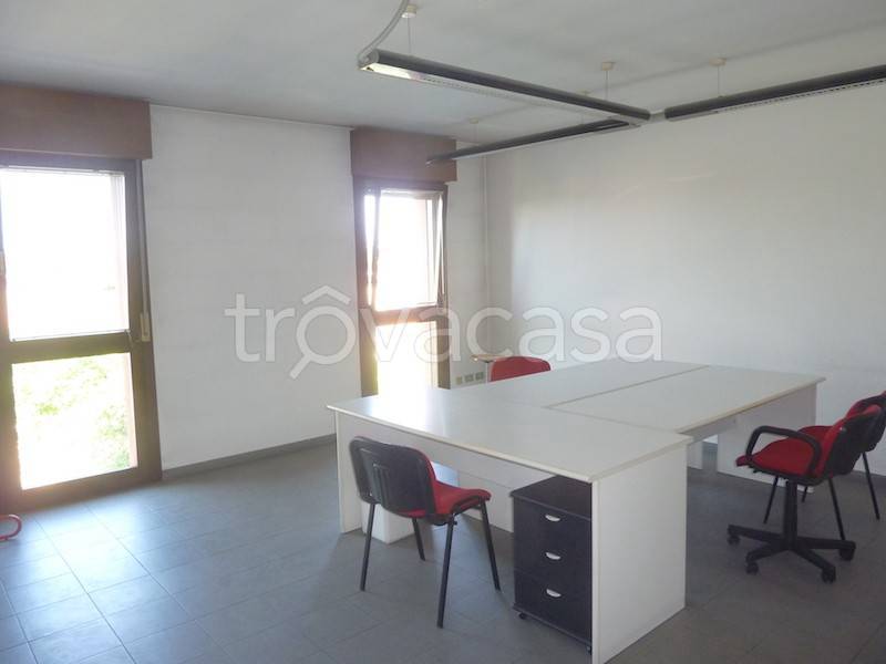 immagine annuncio 4 di 8