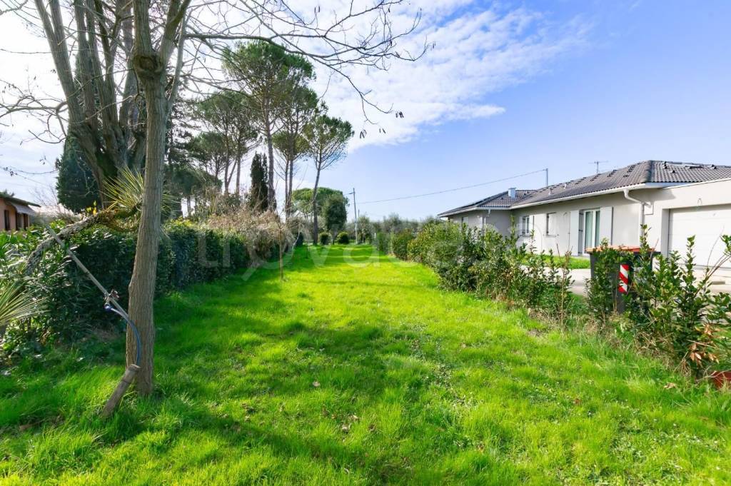 immagine annuncio 1 di 6