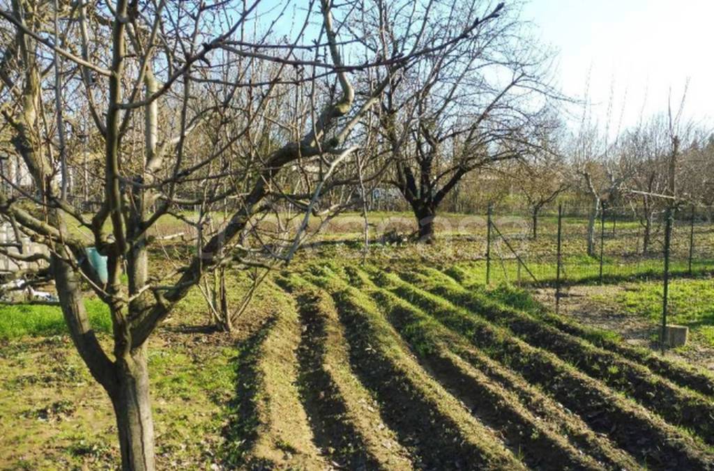 immagine annuncio 5 di 12