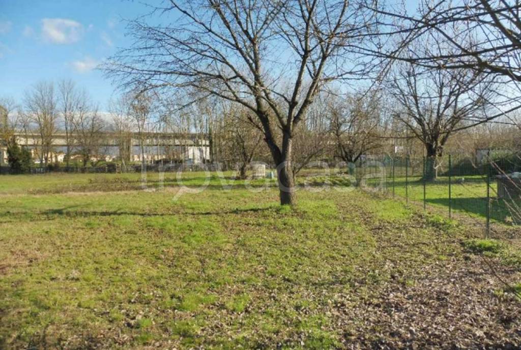 immagine annuncio 6 di 12