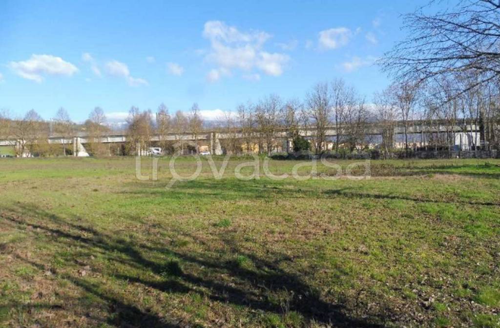 immagine annuncio 8 di 12