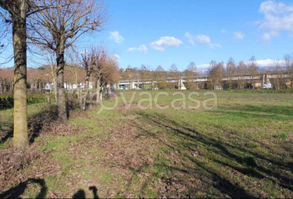 immagine annuncio 9 di 12