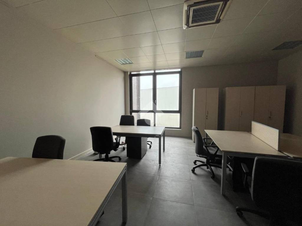 immagine annuncio 10 di 12