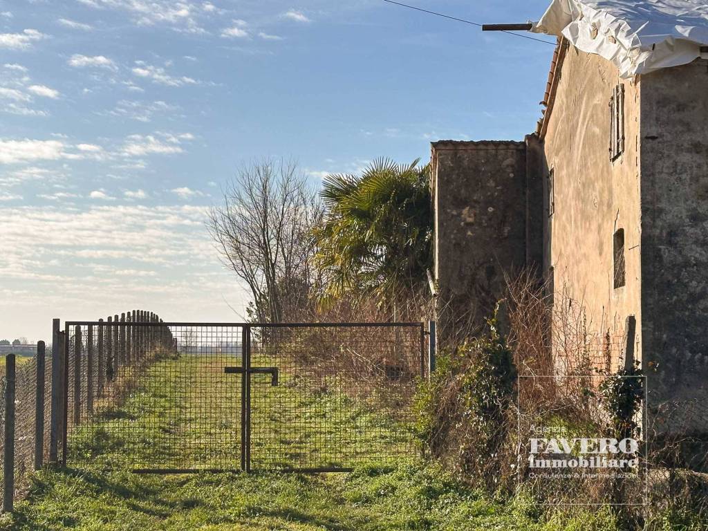 immagine annuncio 3 di 12