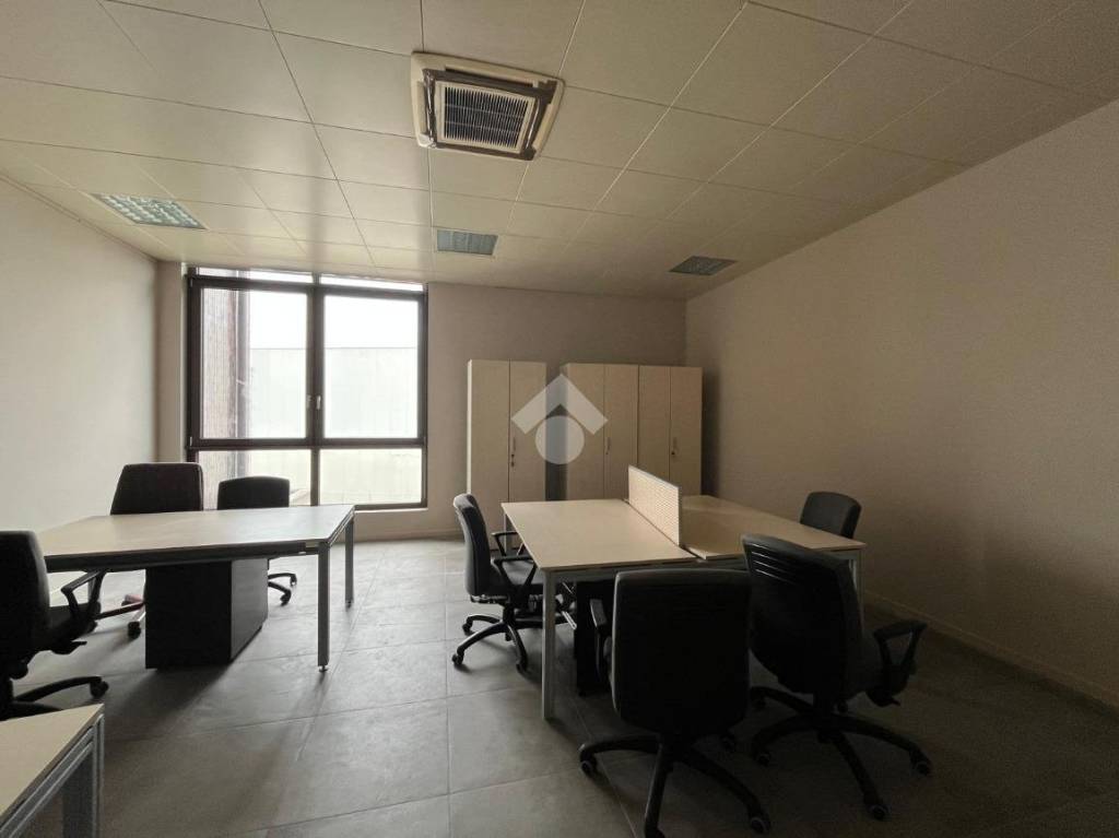 immagine annuncio 9 di 12